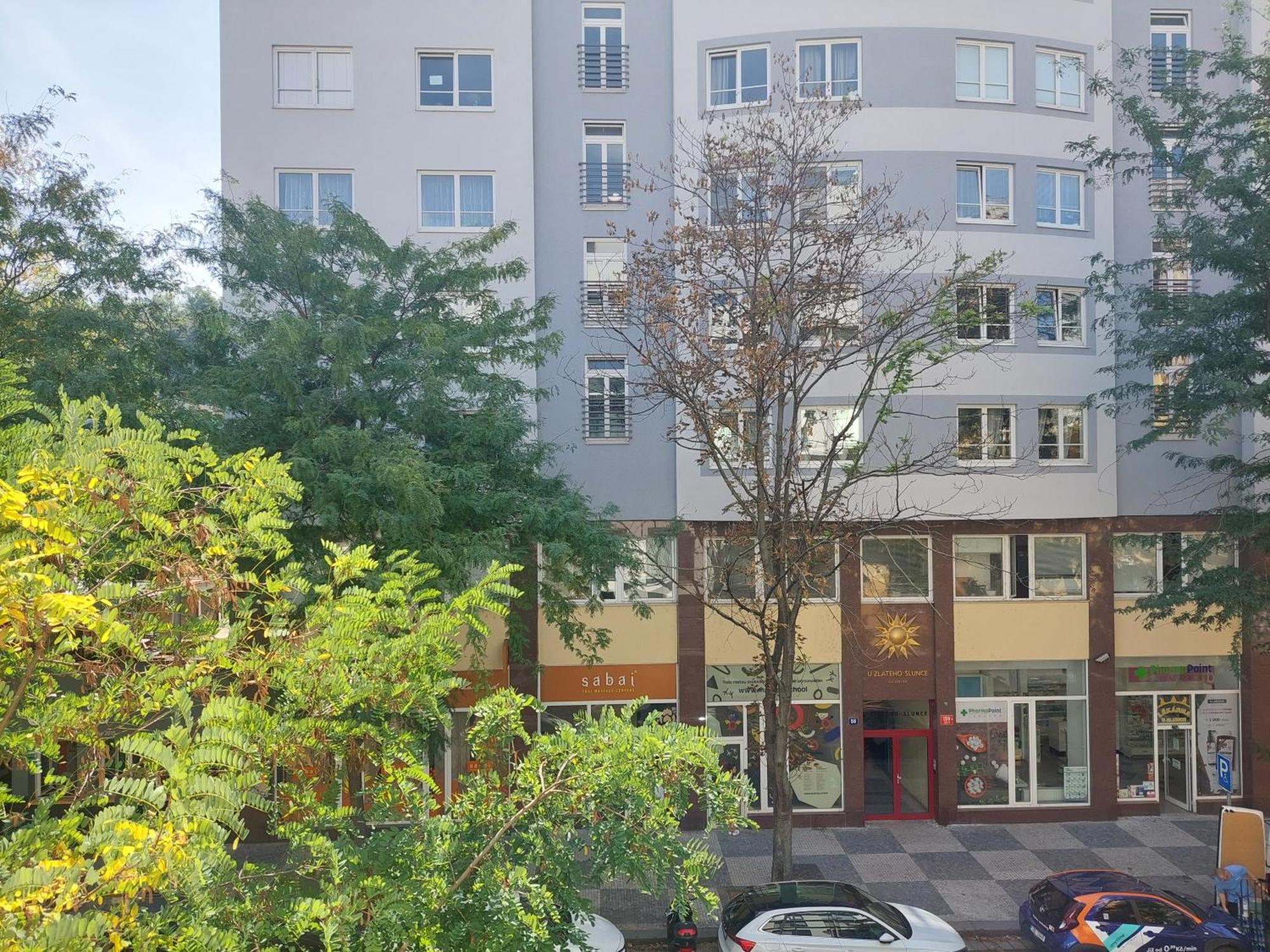 Daire Luxury & Air-conditioned Osko Near The Center Prag